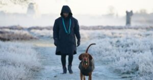 Ice and snow warnings in place for entire weekend as UK blasted by -12C freeze