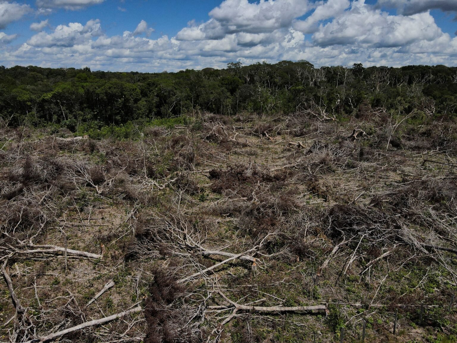 Brazil: Amazon deforestation reaches new high before gov’t change