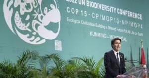 Efforts to protect nature at COP15 will fail without Indigenous people, leaders say