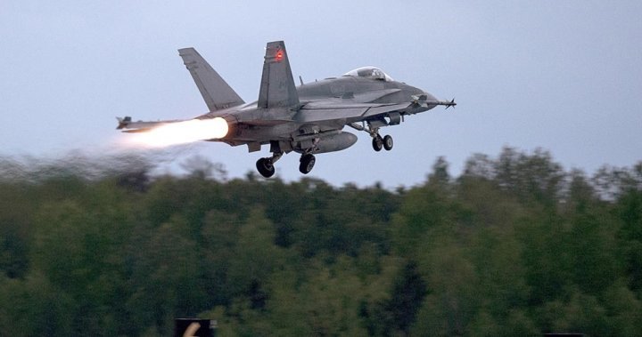 2 Military officers reprimanded over inappropriate ‘call sign,’ RCAF says