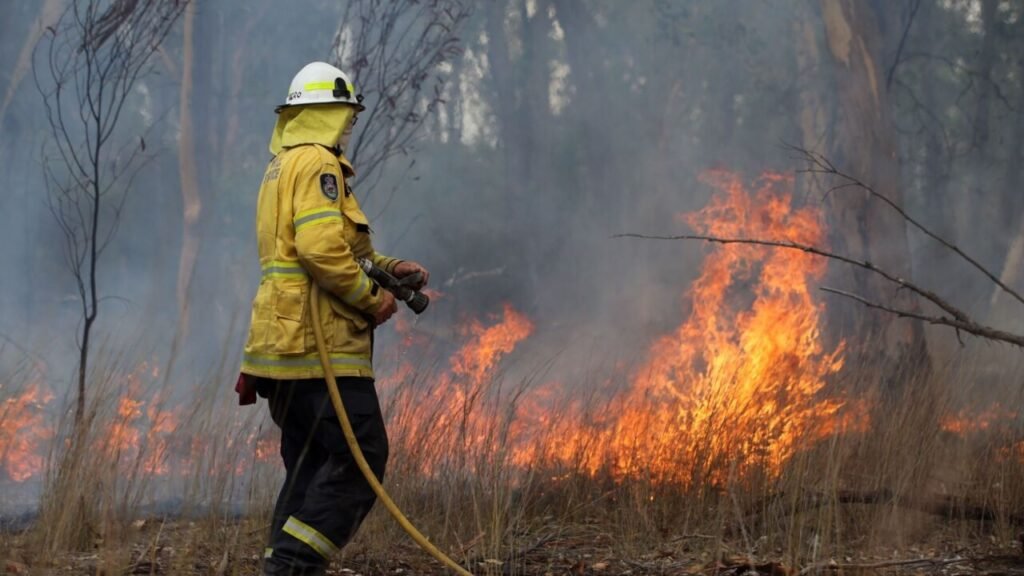 New bushfire detection system implemented