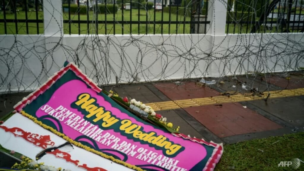 Parts of new Indonesian criminal code seem ‘incompatible’ with rights: UN