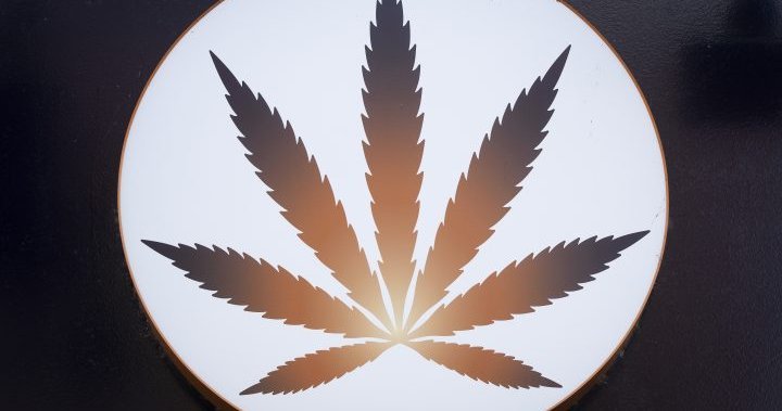 First Nations in Saskatchewan could soon license, regulate cannabis stores on-reserve