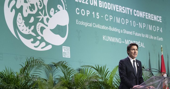 ‘Nature is under threat,’ Trudeau warns to open COP15 biodiversity conference