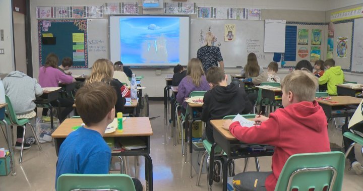 Alberta teacher survey finds class sizes across province are too large, impacting student learning