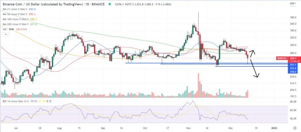 Binance Coin Price Prediction as Investors Fear Binance Exchange is Next to Collapse – Here’s Where BNB is Headed Next