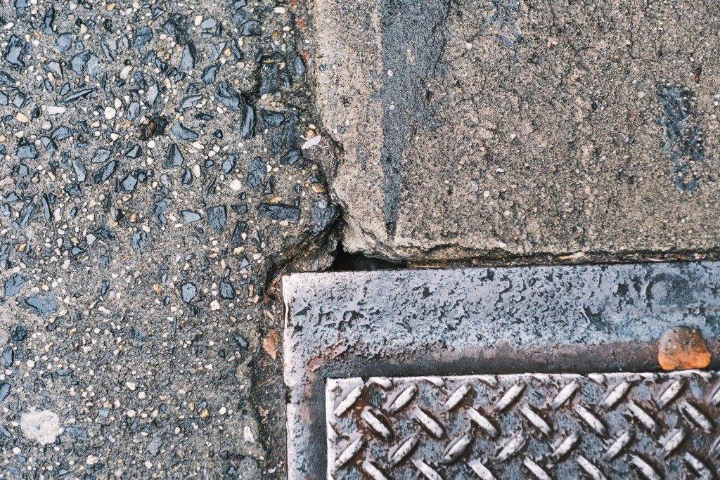 They're also sewer dwellers and can squeeze through remarkably small holes.