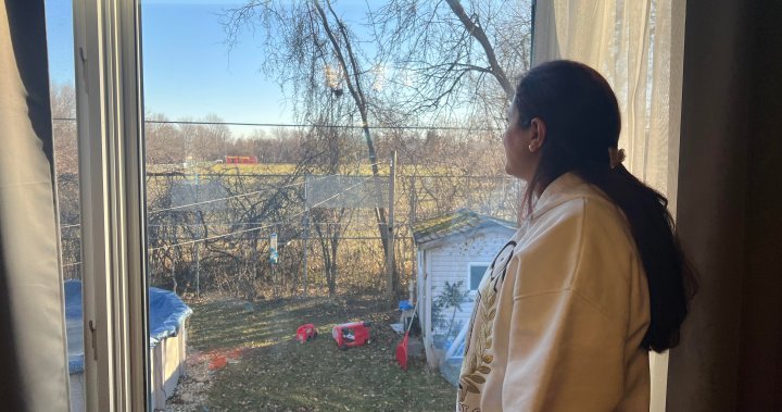 Moms circulating petition against new cellphone tower in Montreal park