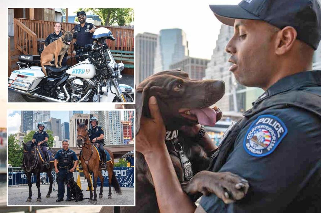 On paw-trol! NYPD’s new calendar features adorable animal cops