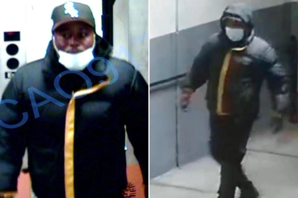 Thief shoves 85-year-old woman to ground in NYC parking garage, steals her purse