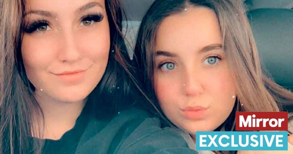‘My sister would still be alive if we’d known about her boyfriend’s past’
