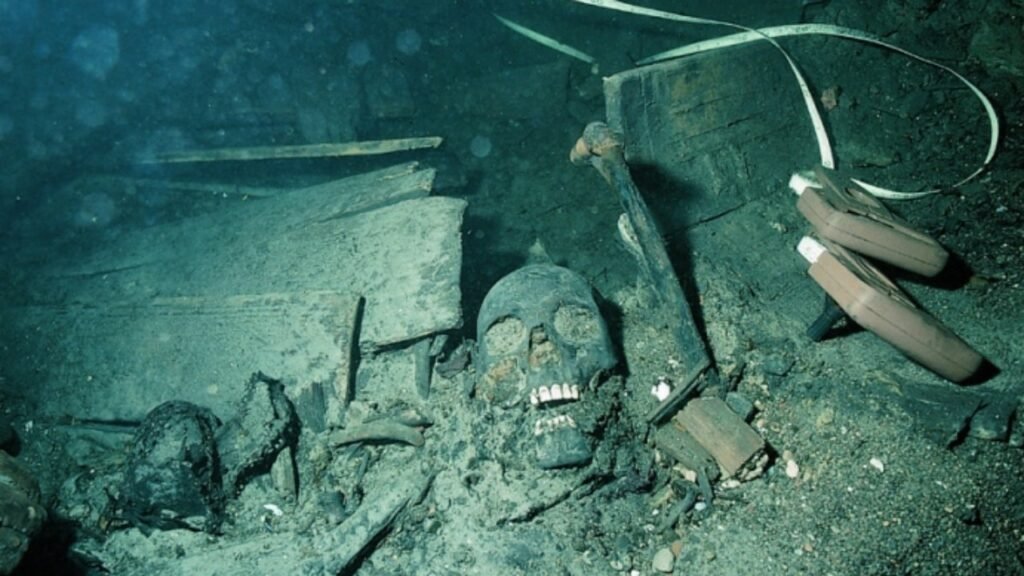 Ancient bones, teeth found in shipwreck burial ground help explain genetic ancestry of Scandinavians