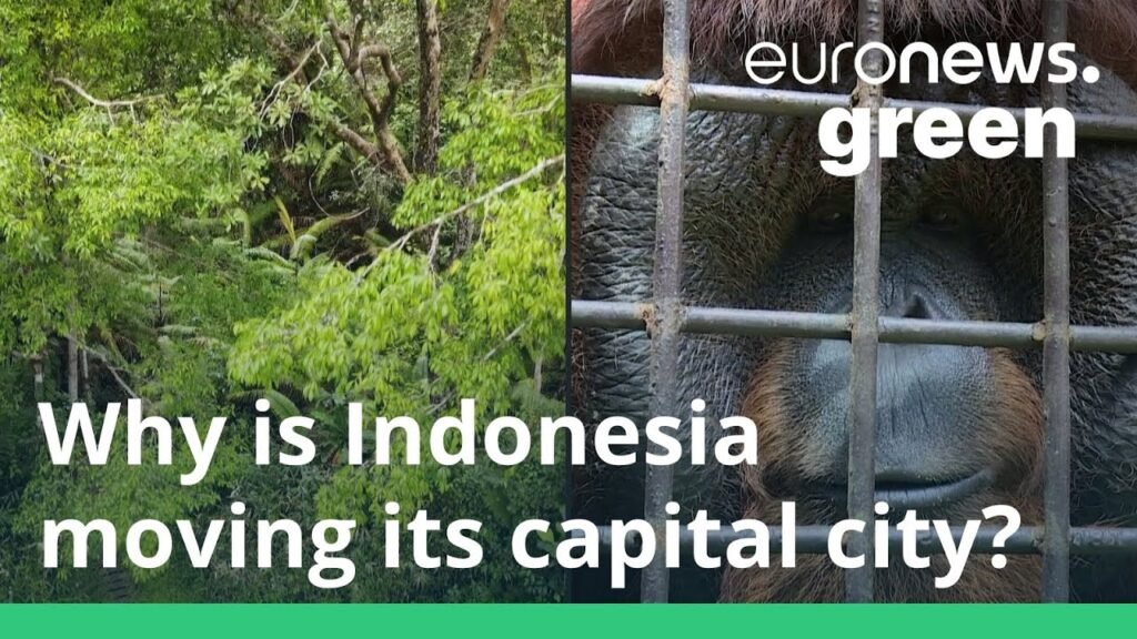 Is Indonesia’s plan to save Jakarta by building a new capital a ‘massive ecological disaster’?