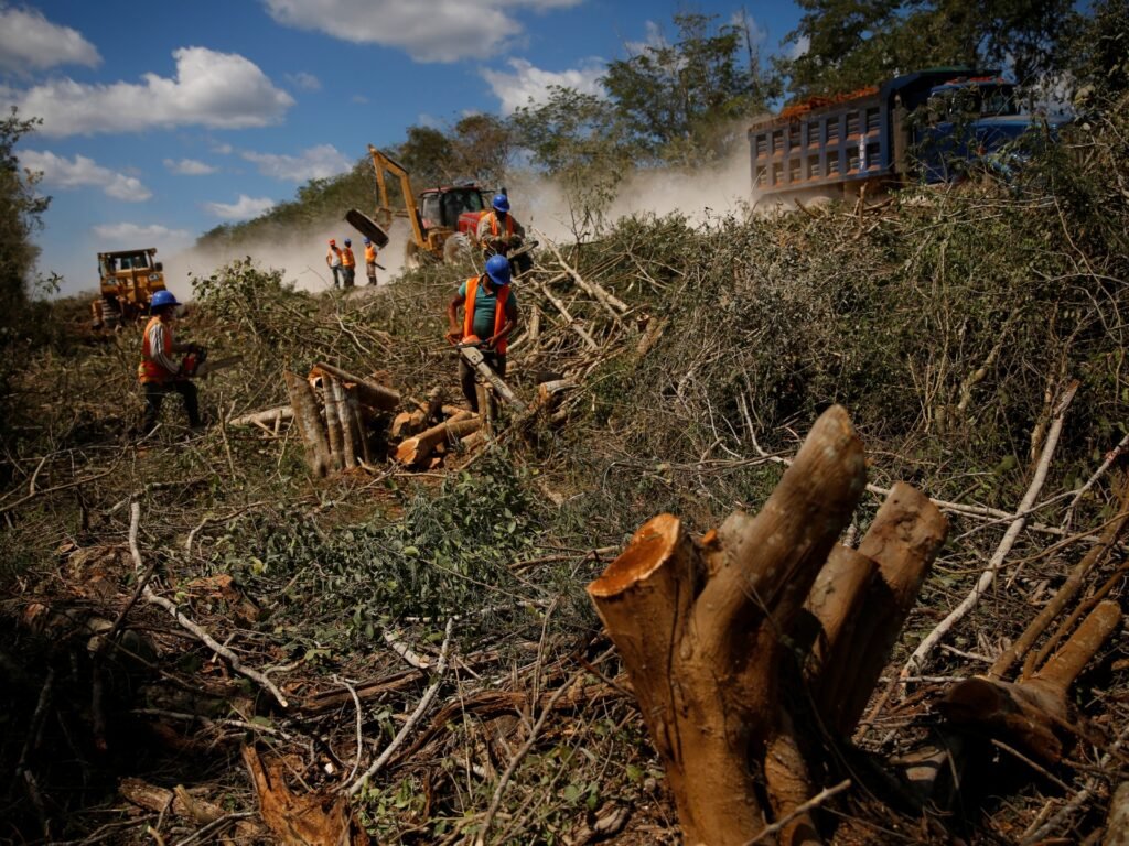 Photos: Experts warn of ecological threat from Mayan Train route