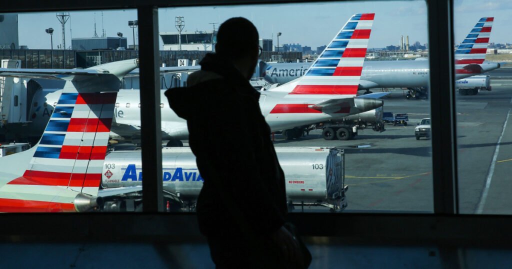 All airlines ordered to pause domestic flights