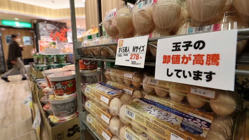 Egg prices ‘expected to soar’ in Japan after record cull of 10 million birds