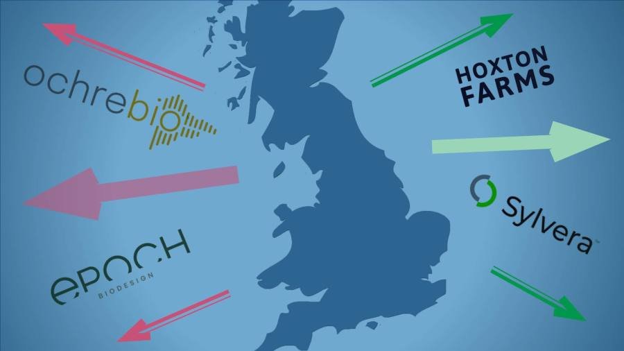 UK tech start-ups hasten overseas expansion after R&D tax cuts