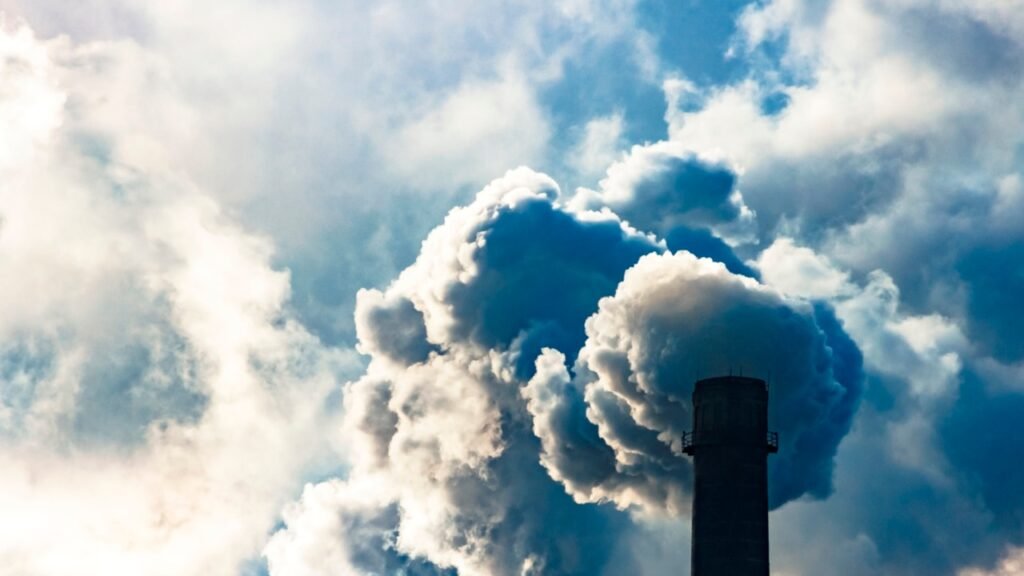 There is a lack of ‘modelling’ on the ‘cost burden’ for carbon emissions safeguards