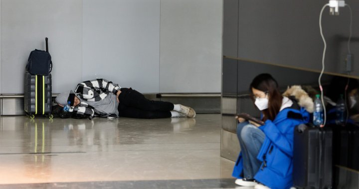Airline execs, transport minister to be grilled by MPs over travel chaos: what to expect