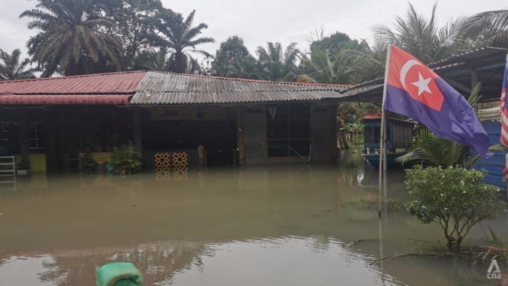 ‘We are getting sick of this’: Anguish among Johor villagers amid recurring floods