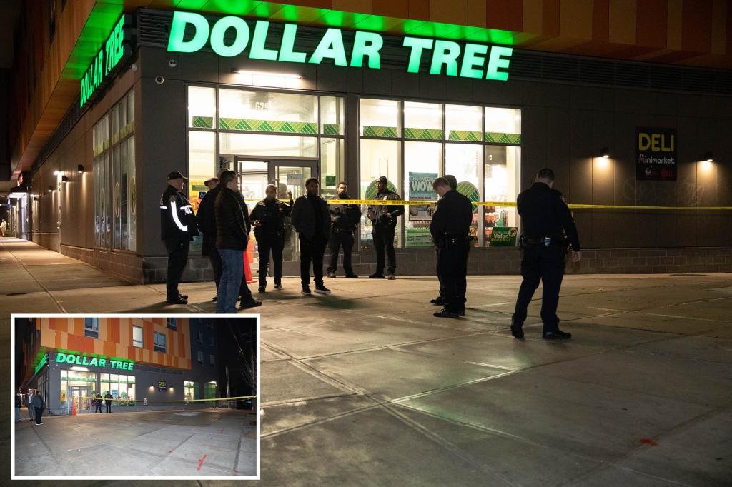 NYC Dollar Tree worker shot during attempted robbery, cops say