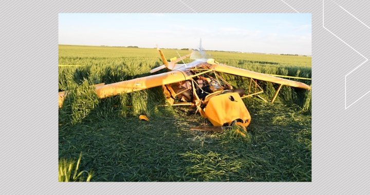 Fatal plane crash near Didsbury, Alta. followed low-altitude manoeuvre, spin: TSB