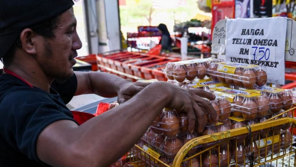 Imported eggs help alleviate local shortage in Malaysia, says agriculture minister