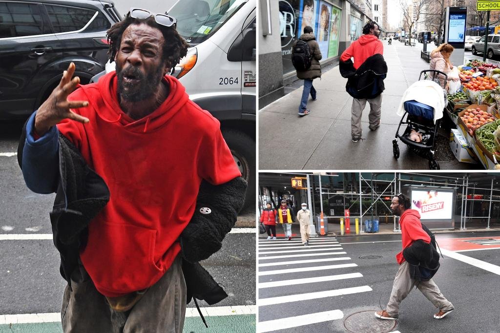 Homeless man who terrorized NYC park now in mental ward
