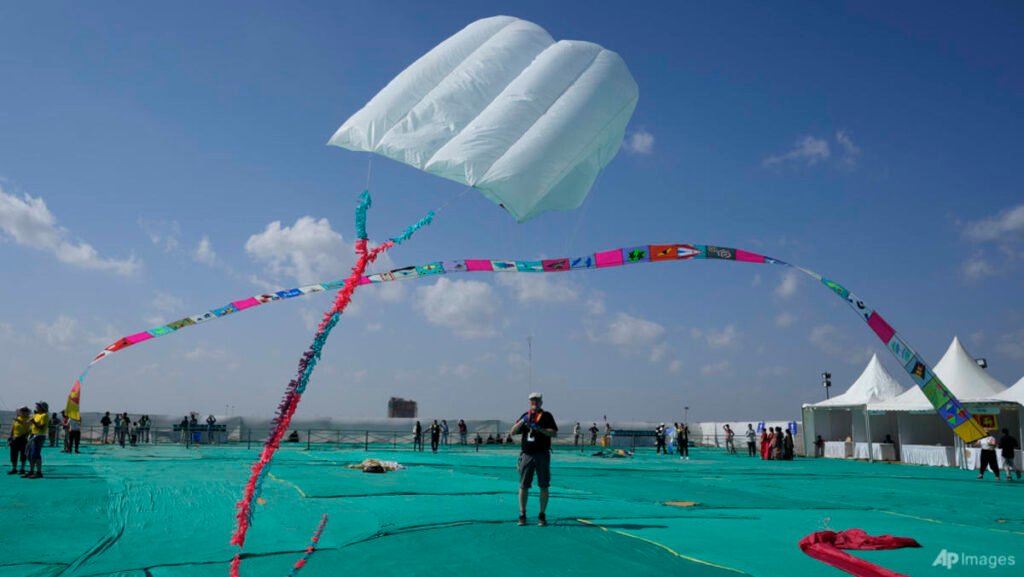3 children among 6 killed by kite strings at Indian festival