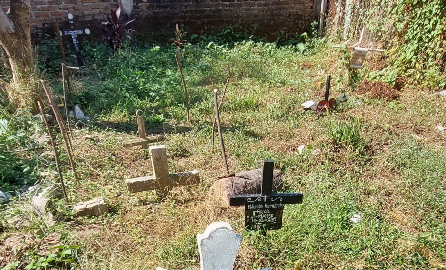 Letter from a mass grave in Mexico