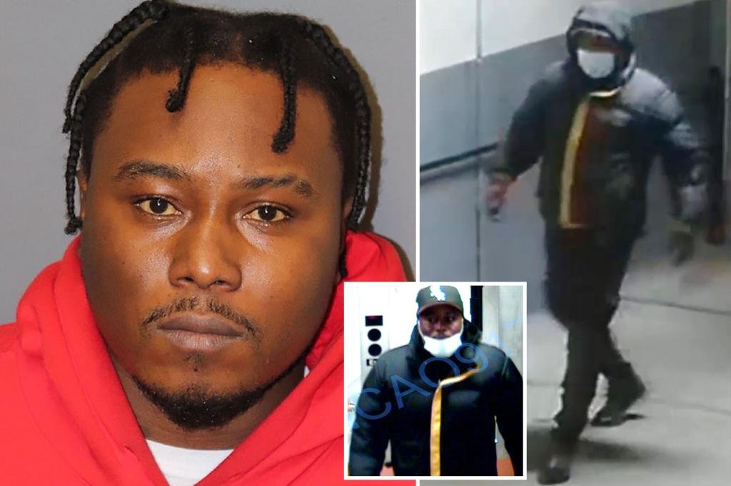 Suspect in violent purse-snatching from woman, 85, IDed by NYPD