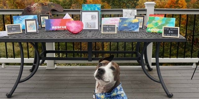 Van Gogh the dog poses in front of a gallery of his work arranged by Happily Furever After Rescue.