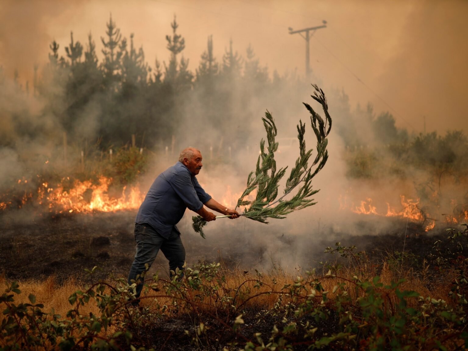 Photos: Chile wildfires spread as death toll rises