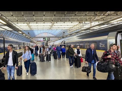 ‘It’s taking too long’: Why is post-Brexit checks slowing down business for Eurostar?
