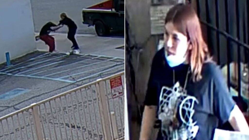 California woman wanted after stealing victim’s puppy during violent assault in broad daylight, police say