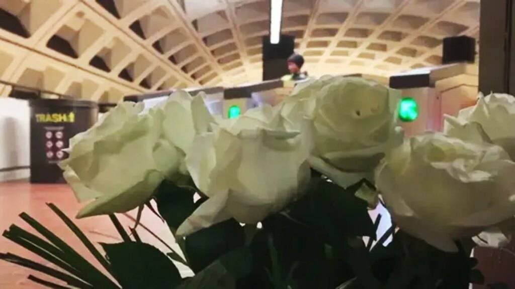DC Metro employee killed trying to stop shooter ‘heroic,’ suspect identified