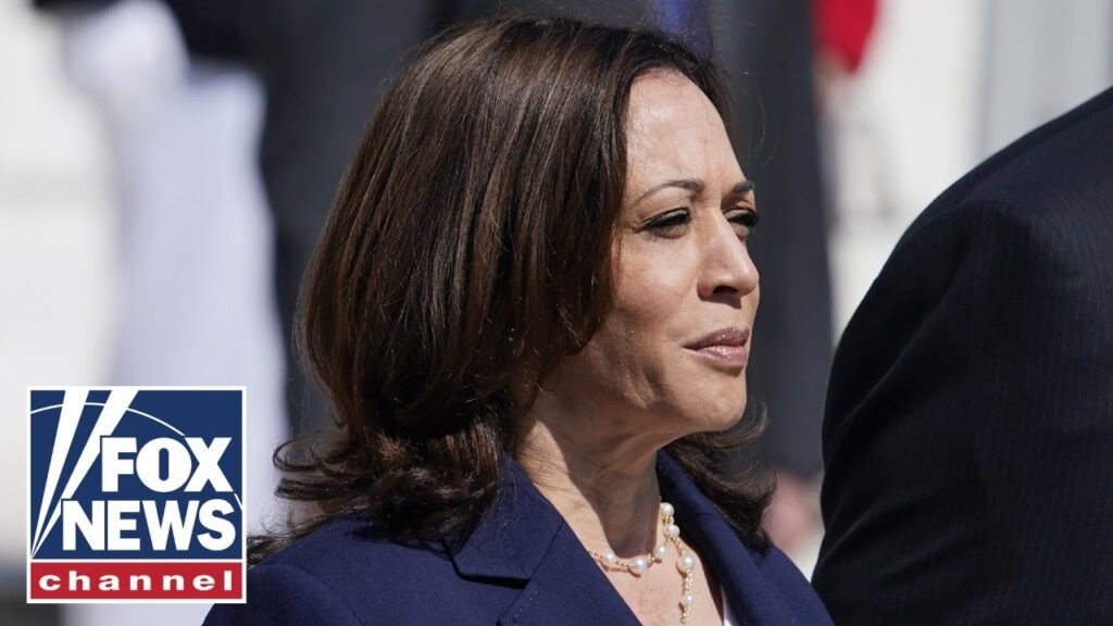 Americans grade Kamala Harris’ performance as border czar | Americans Weigh In