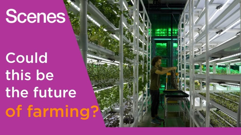 Meet the futuristic farmer growing vegetables vertically in Georgia | Scenes