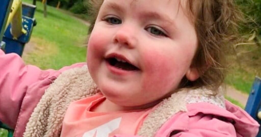 Family pet that killed girl, 4, in savage dog attack is not from a banned breed