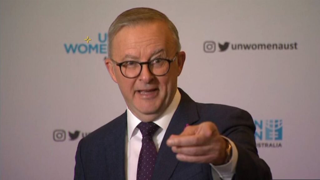 The Greens ‘sometimes don’t understand the way the economy works’: Albanese