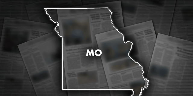 The Springfield police announced that a man was killed by police after pulling a gun on officers. 