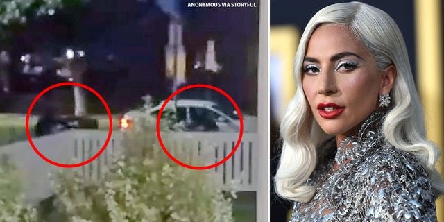 Lady Gaga's two French bulldogs, Koji and Gustav, were stolen during a violent robbery that occurred in February 2021.