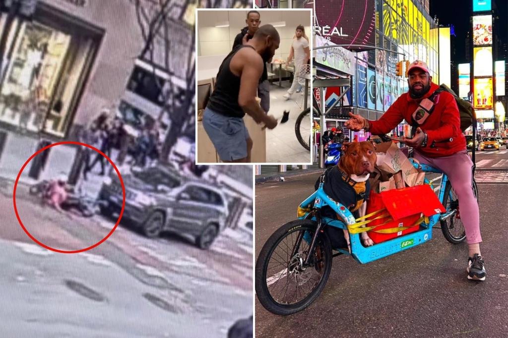 McDonald’s ‘ax man’ Michael Palacios, his dog struck in Manhattan hit-and-run