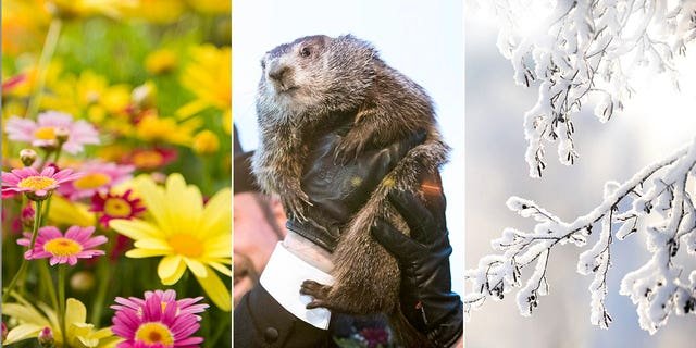 Groundhog Day quiz! How well do you know facts about the annual day?