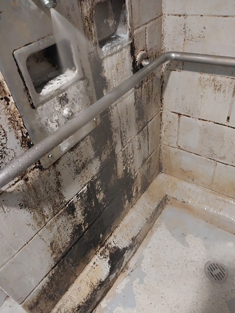 A moldy shower at the MDC