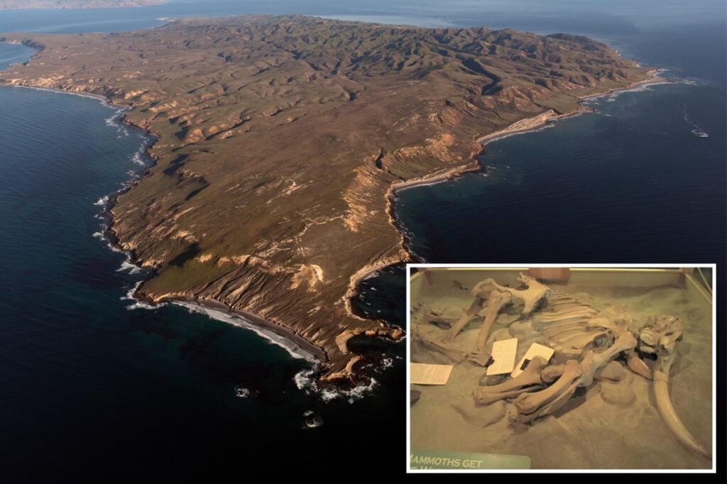 Ancient Bones Found Off California Coast Rewrite Human History